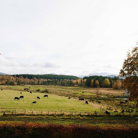 ネシー・ブリッジThe Dell Of Abernethy - A Woodland Hideawayアパートメント エクステリア 写真