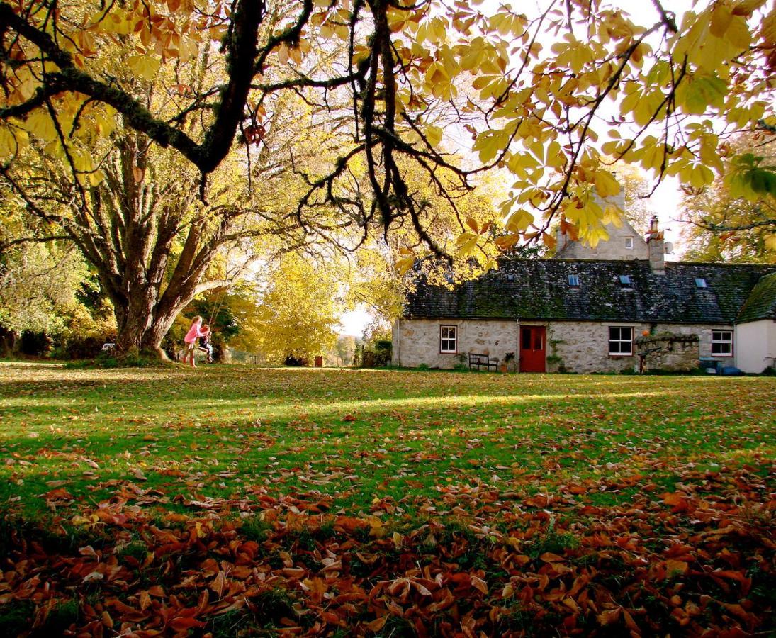 ネシー・ブリッジThe Dell Of Abernethy - A Woodland Hideawayアパートメント エクステリア 写真