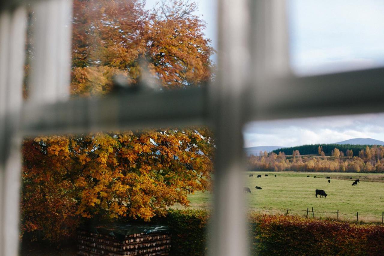 ネシー・ブリッジThe Dell Of Abernethy - A Woodland Hideawayアパートメント エクステリア 写真