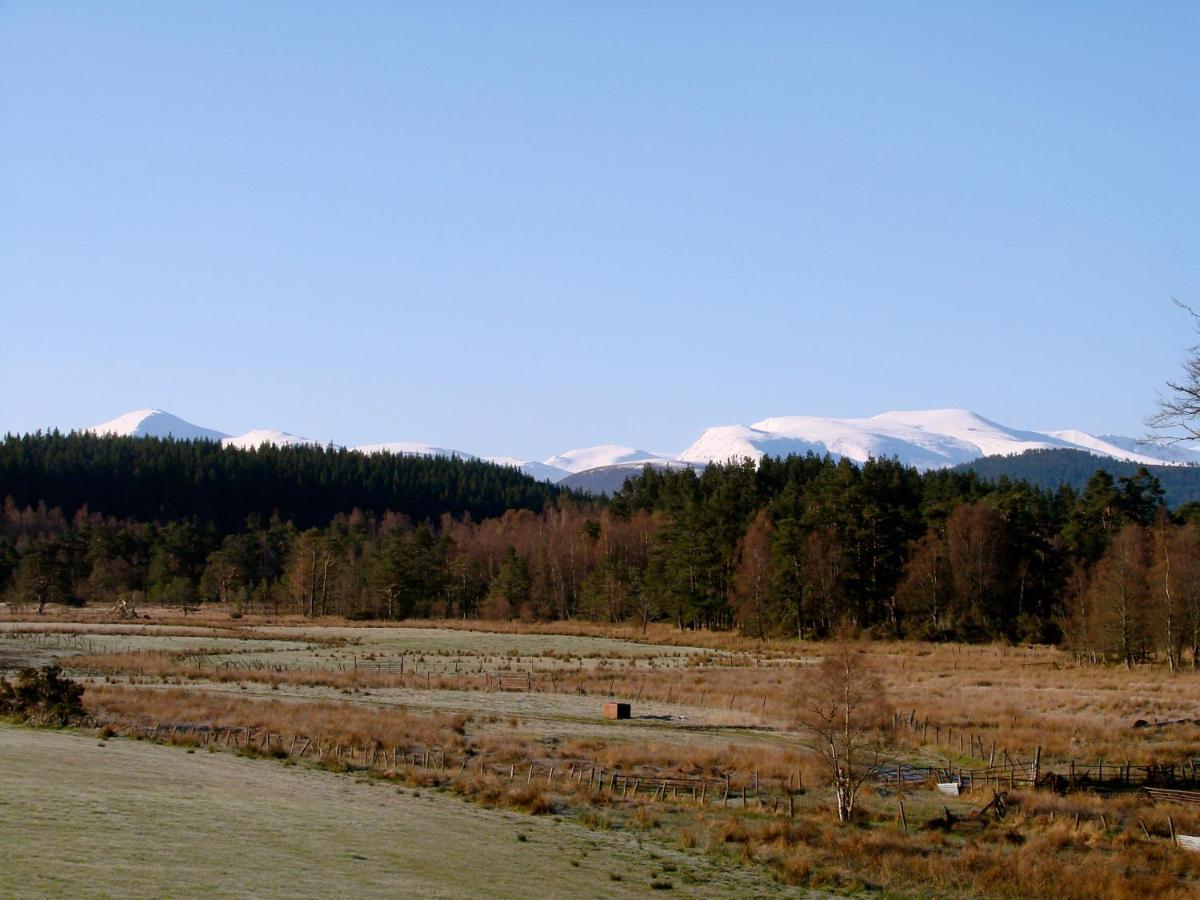 ネシー・ブリッジThe Dell Of Abernethy - A Woodland Hideawayアパートメント エクステリア 写真