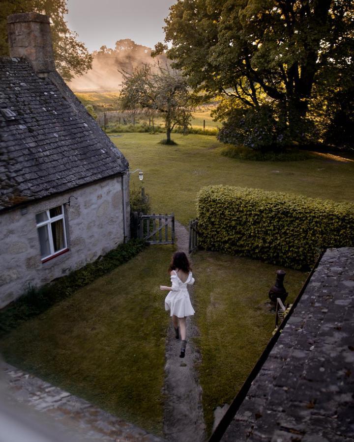 ネシー・ブリッジThe Dell Of Abernethy - A Woodland Hideawayアパートメント エクステリア 写真