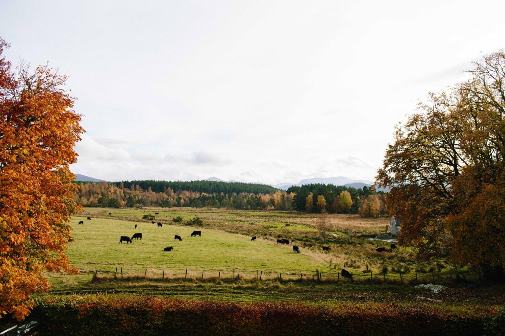 ネシー・ブリッジThe Dell Of Abernethy - A Woodland Hideawayアパートメント エクステリア 写真